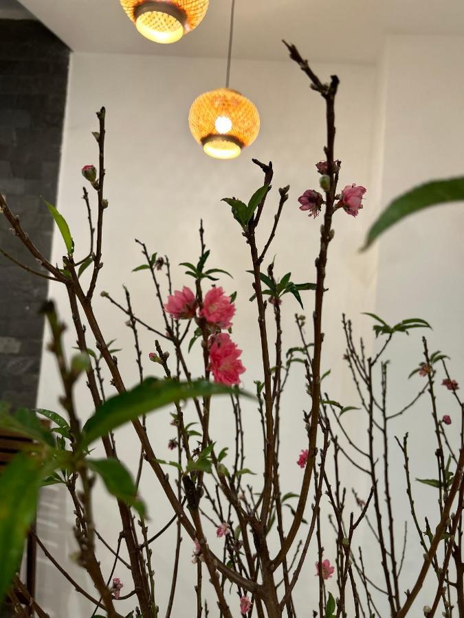 Vang Anh Homestay Hoi An Luaran gambar